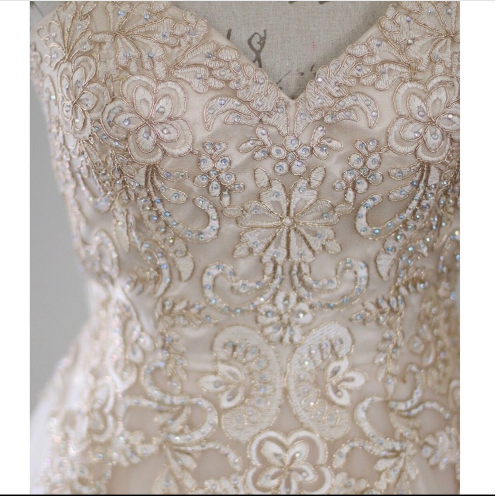 Embroidered Ballgown - Picture 3 of 4